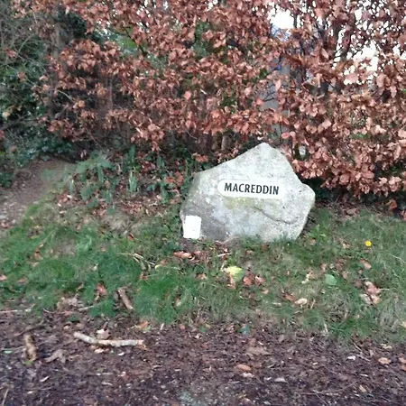 Macreddin Rock オーリム