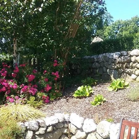Macreddin Rock 3*