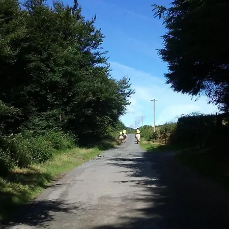 Macreddin Rock Aughrim