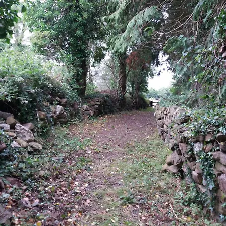 Macreddin Rock Bed & Breakfast Aughrim