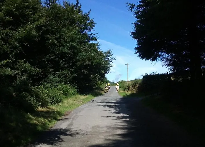 Macreddin Rock 어흐림